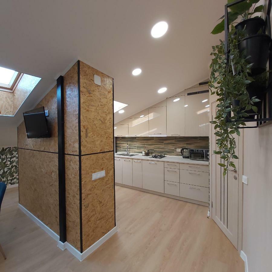 Two-Bedroom Apartment Near Forum Lviv Bagian luar foto